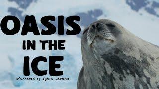 CH5 - Nature Documentary - Polar Odyssey: Oasis in the Ice (1998)