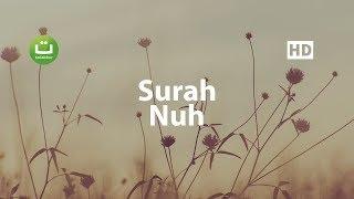 Surah Nuh Merdu - Salah Mussaly ᴴᴰ صلاح مصلي | Tadabbur Daily