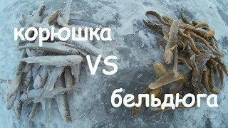 зимняя рыбалка, финский залив, корюшка vs бельдюга