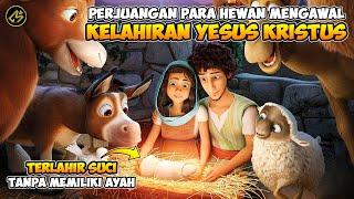 PERJUANGAN KELEDAI MENGAWAL KELAHIRAN SANG RAJA || Alur Cerita FIlm THE STARS (2017)