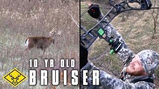 10yr. old Bruiser Buck | CRP + Does = Big Buck Down!