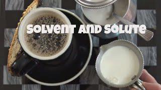 Solvent Solute Solution  What is the difference?