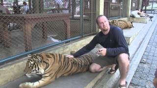 Petting Tigers in Chiang Mai, Travel Geek: Documentary Thailand Outtake #1