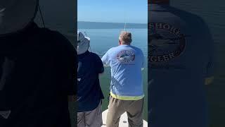 Landing our Permit in Flamingo Everglades #fishingadventure #gonefishing #fishing  #fishinglife