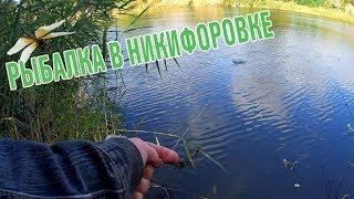 РЫБАЛКА  НА ВОДОЁМАХ / НИКИФОРОВКА / КИРОВОГРАДСКАЯ ОБЛАСТЬ.