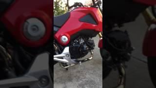 Honda Grom Black Widow Exhaust