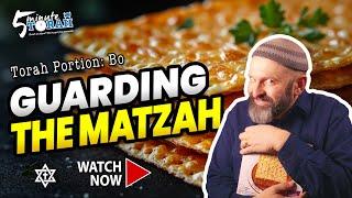 Bo | 5 Minute Torah | Messianic Commentary on the weekly Torah Portion