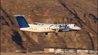 Beautiful Golden Afternoon Light! 5 Arrivals and Departures at YKA