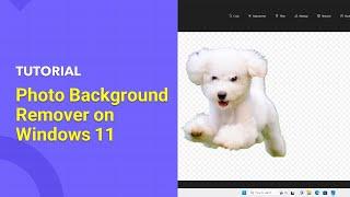 Photo Background Remover on Windows 11