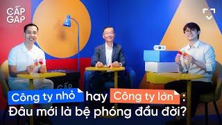Công ty nhỏ hay công ty lớn: Đâu mới là bệ phóng đầu đời? | GẤP GAP EP03