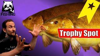 Russian Fishing 4 - Alte Festung - Trophy Spot! Schleie, Giebel und Karauschen, Anfänger Guide