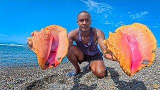 How To Catch, Clean And Cook The Chicken Of The Sea!