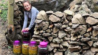 How to make a natural stone cellar to preserve strawberry wine & go to the market to sell vegetables