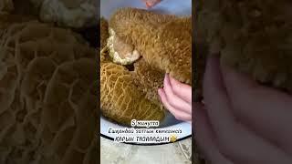 5 минутта ҚАРЫН ТАЗАЛАДЫМ #қазақшарецепт #food #sandigul #қарынтазалау