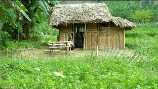 Despised by the villagers, the girl decided to live alone in the forest // Ly Tieu Maya