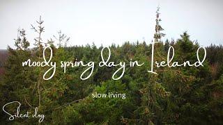 10. Moody spring day in Ireland. Peaceful homemaking. Day in my life. Slow living. Silent vlog.