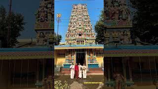Kumbakonam Ananthanarayana Bhagavathar @Chandigarh Murugan Temple #nature #mountain #temple #travel