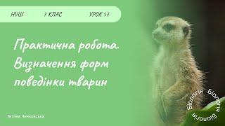 Практична робота. Визначення форм поведінки тварин
