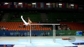 GASHKOV Kirill (RUS) - 2019 Artistic Junior Worlds, Gyor (HUN) - Qualifications Parallel Bars