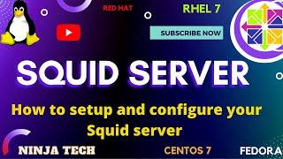 Squid Server - Complete Guide - How to setup and configure your Squid server | Centos