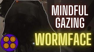 Mindful Gazing Wormface [Altus Plateau]