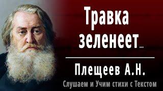 А.Н. Плещеев "Травка зеленеет, солнышко блестит" - Слушать и Учить аудио стихи