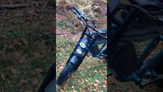 ENGWE M20 / driving in the woods #live #nature #easy #driving #bike #ebike #relax #live #m20 #engwe