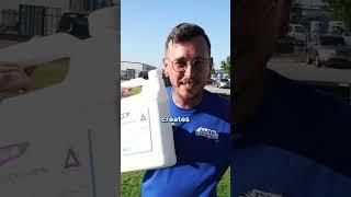 How to Get Rid of Pests in the Lawn?
