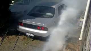 Skidline bakyard burnout