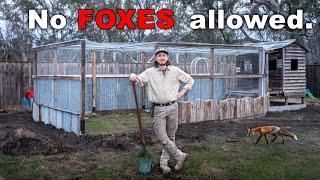 Building a "Fox Proof" Chicken Run | DIY Budget Build