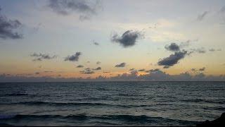 South Florida's Rising Seas: Impact | Sea Level Rise Documentary