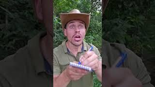 TUTO : Sarbacane / Blowgun ️#Waorani #ecuador #tutorial #amazon #forest #authentic #real #nature