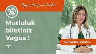 Mutluluğa Çıkış Biletiniz Vagus! | Dr. Ayşegül Çoruhlu