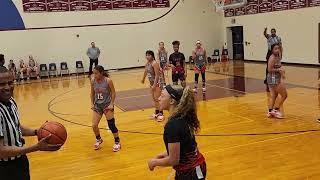 4/1/23 TSF 2028 VS. Pickering Lady Devils - 1st half