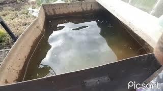 Взрыв большой петарды в бочке с водой