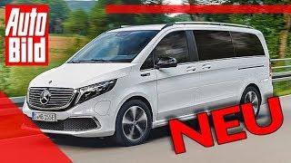 Mercedes EQV (2019): Neuvorstellung - Elektro - Van - Infos