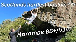 Harambe 8B+/V14 First Ascent