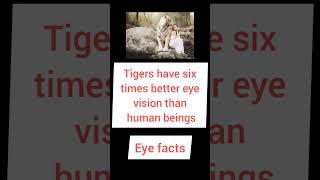 facts about eyes |science facts #shorts #science #eyes #facts #study #biology #science #trending