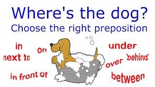 Prepositions of place Quiz #2 /  in on under over in front of behind next to between