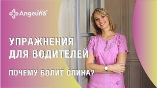 Упражнения для водителей. Почему болит спина?