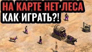 Вся карта — это пустыня без деревьев! Невероятный турнирный матч в Age of Empires 2