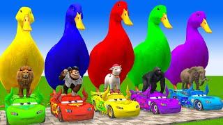 5 Giant Duck Cartoon,Cow,Elephant,Giraffe,Tiger,Lion, Paint Wild Animals Crossing Fountain Animation