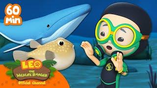 1 HOUR OF FISHES AND CREATURES UNDER THE SEA!!  | Leo the Wildlife Ranger | Kids Cartoons