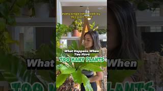 What Happens When You Have TOO MANY PLANTS #shorts #houseplants #plantcare #repotting #propagation