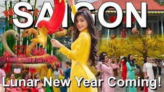 Lunar New Year is coming to Saigon!  Vietnam 2025