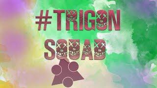 TRIGON Squad -  первый трейлер