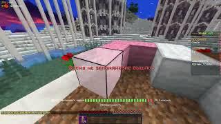 Cтейк 3.3 (WR)