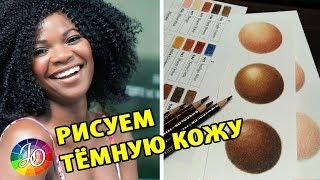 Как нарисовать кожу человека цветными карандашами  Мастер-класс  Dark skin tones colored pencils