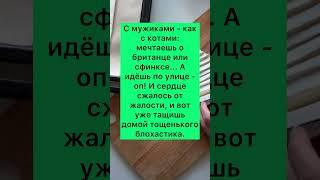 Котик#приколы#шутки#ржака#мем#юмор#смех#рекомендации#шутка#прикол#шортс#тикток#tiktok#анекдоты#мем