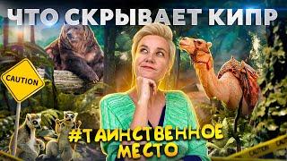 ЧТО СКРЫВАЕТ КИПР? Куда не ступала нога туриста на Кипре? Таинственное место Кипра